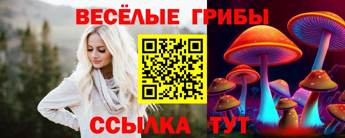 Пугачёв  Псилоцибиновые грибы мухоморы  Вход с VPN 